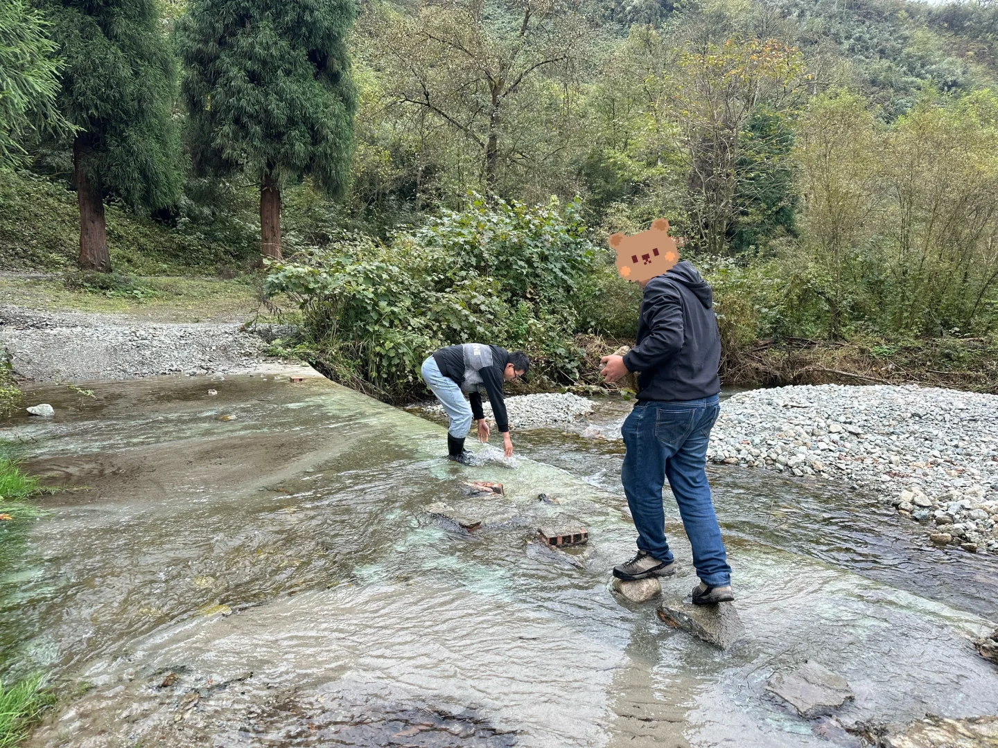 最具塑料感的果实，像不像你过年放的烟雾弹