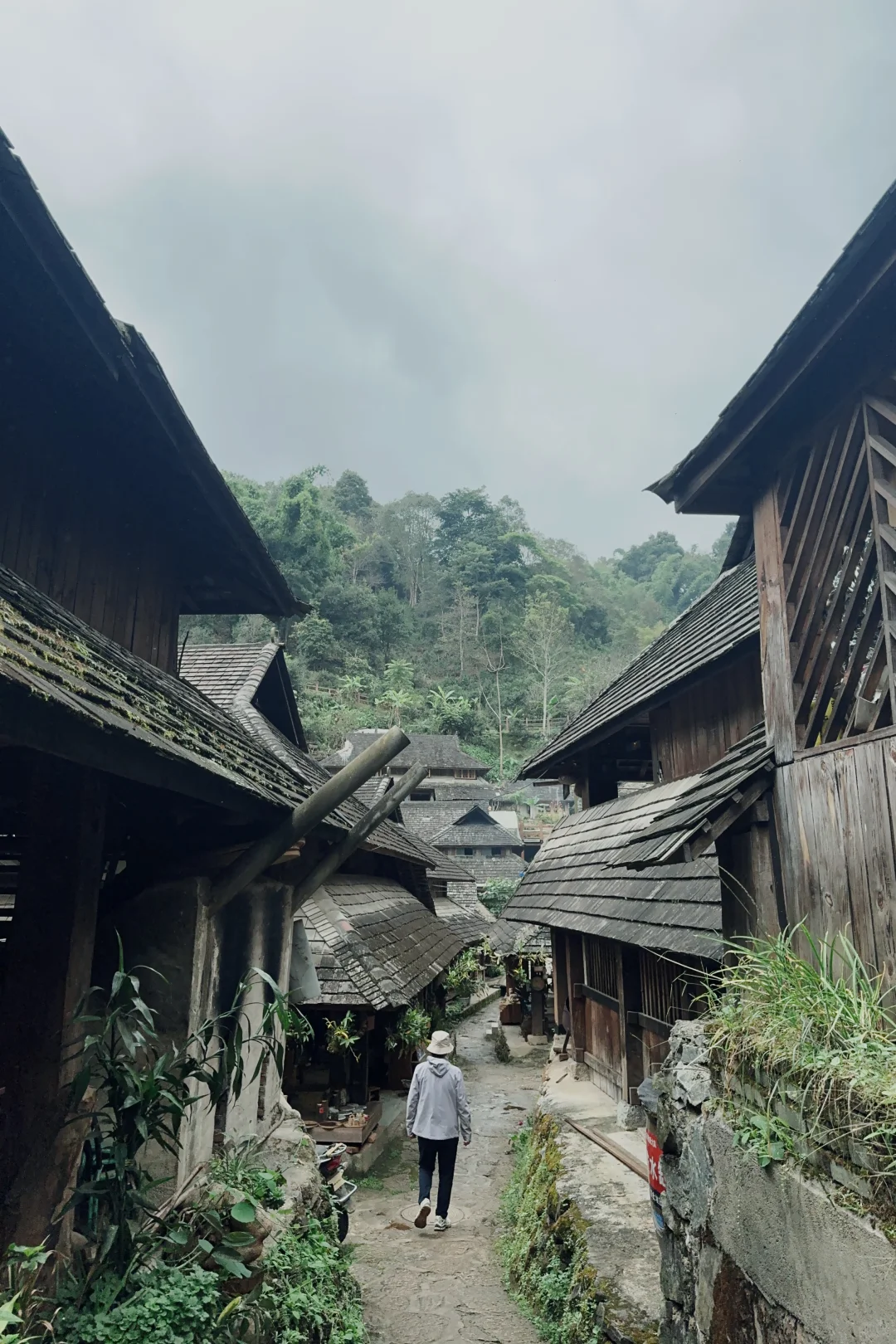 庆幸自己拥有独自探索世界的习惯与能力