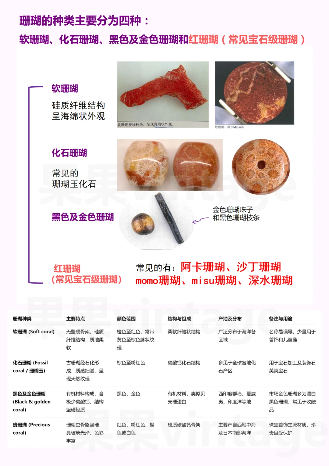 主包整理的关于珊瑚的天才指南！