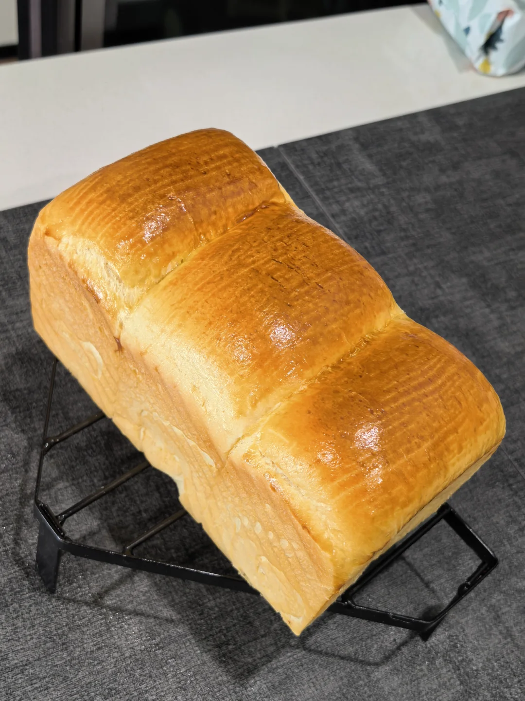 绝绝子~(¯▽¯~)~