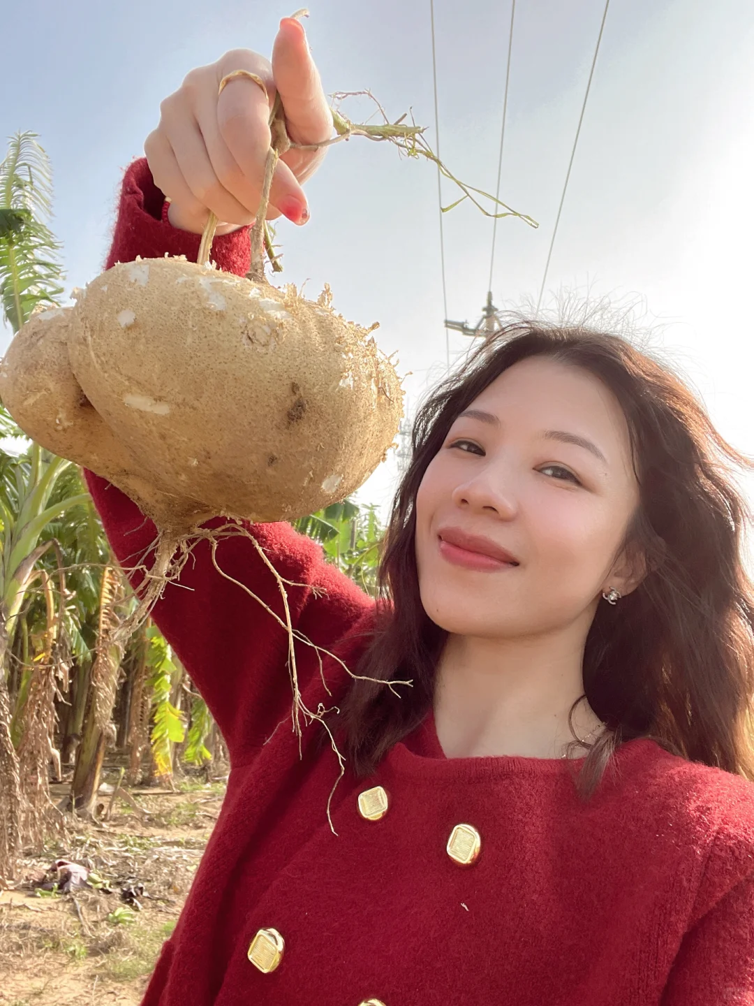 这种既是蔬菜又是水果的大家伙，叫什么名？