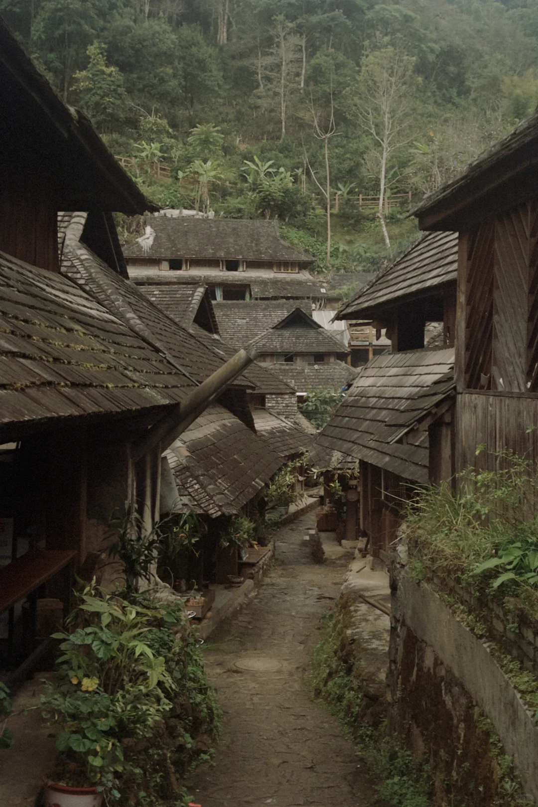 庆幸自己拥有独自探索世界的习惯与能力