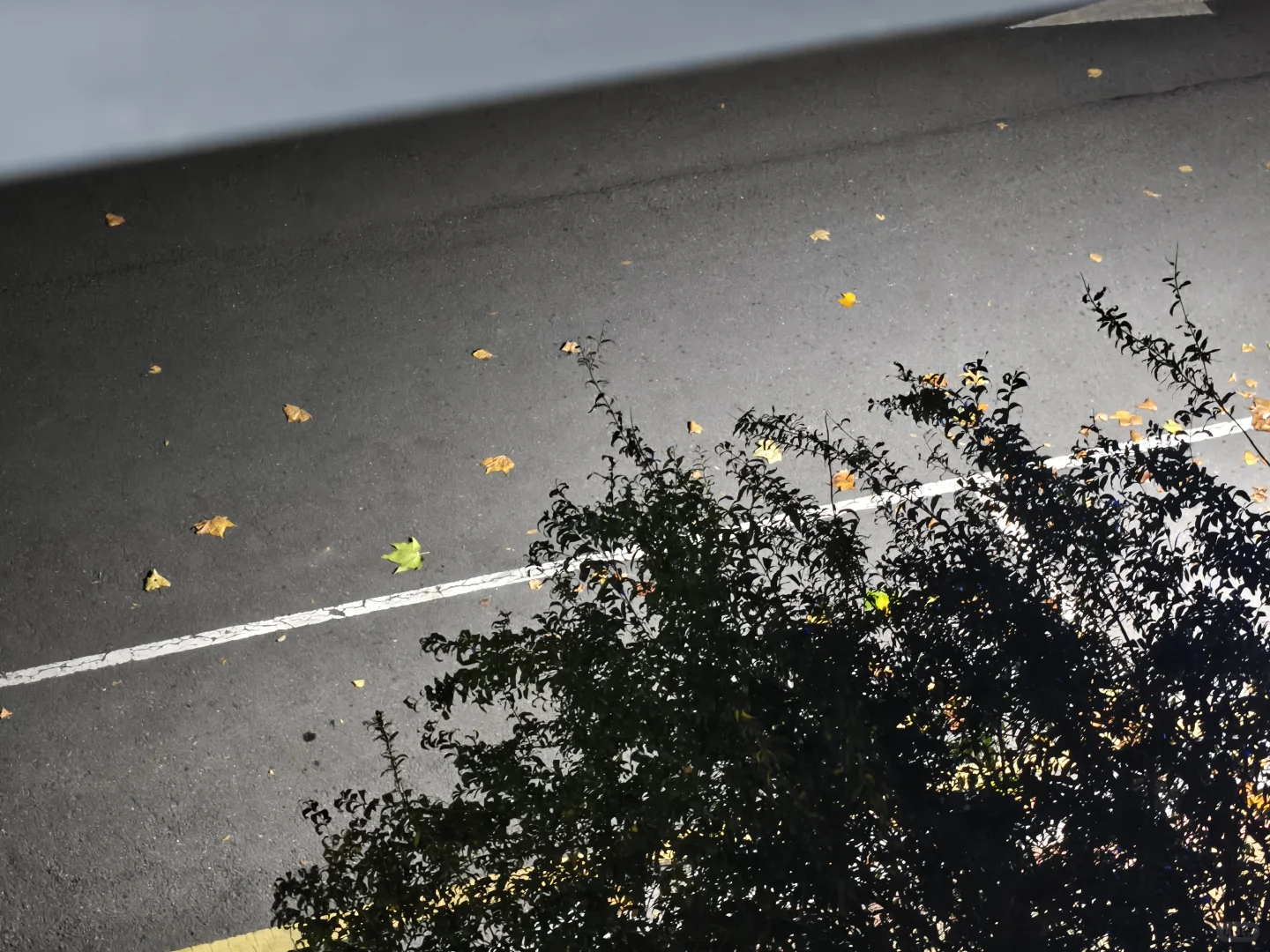 3.4万人看过的被醉驾撞车定次责事故