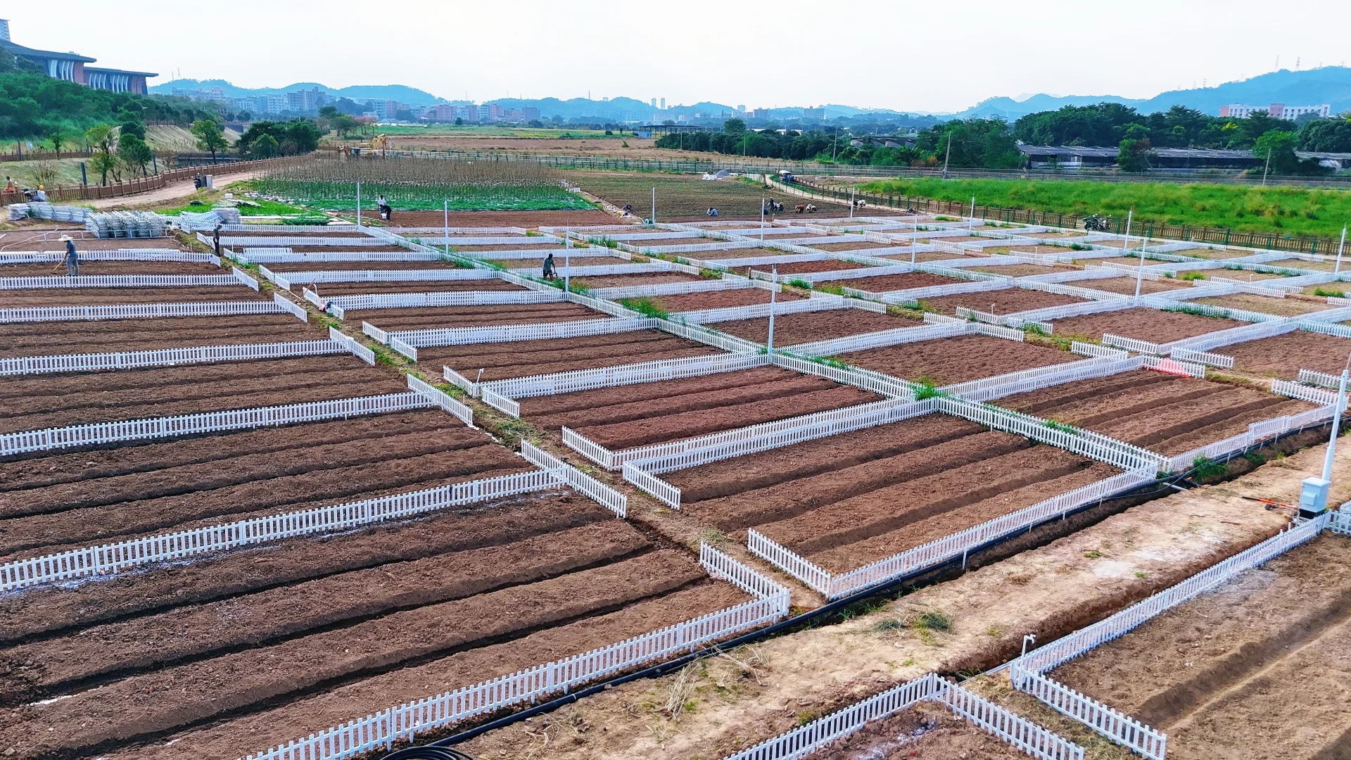 深圳光明中山大学旁农场开园，田园生活攻略