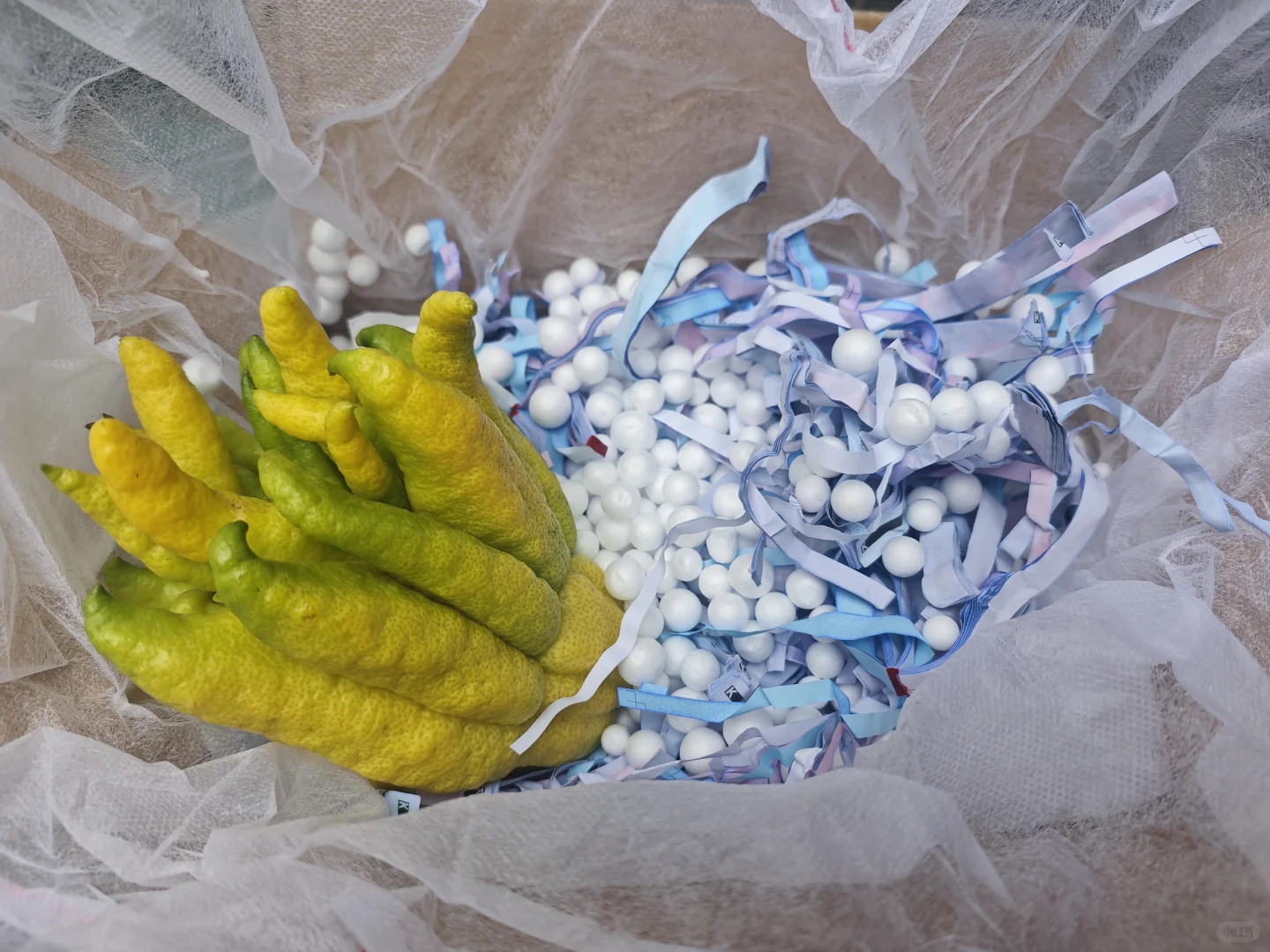 不错不错，晒个单