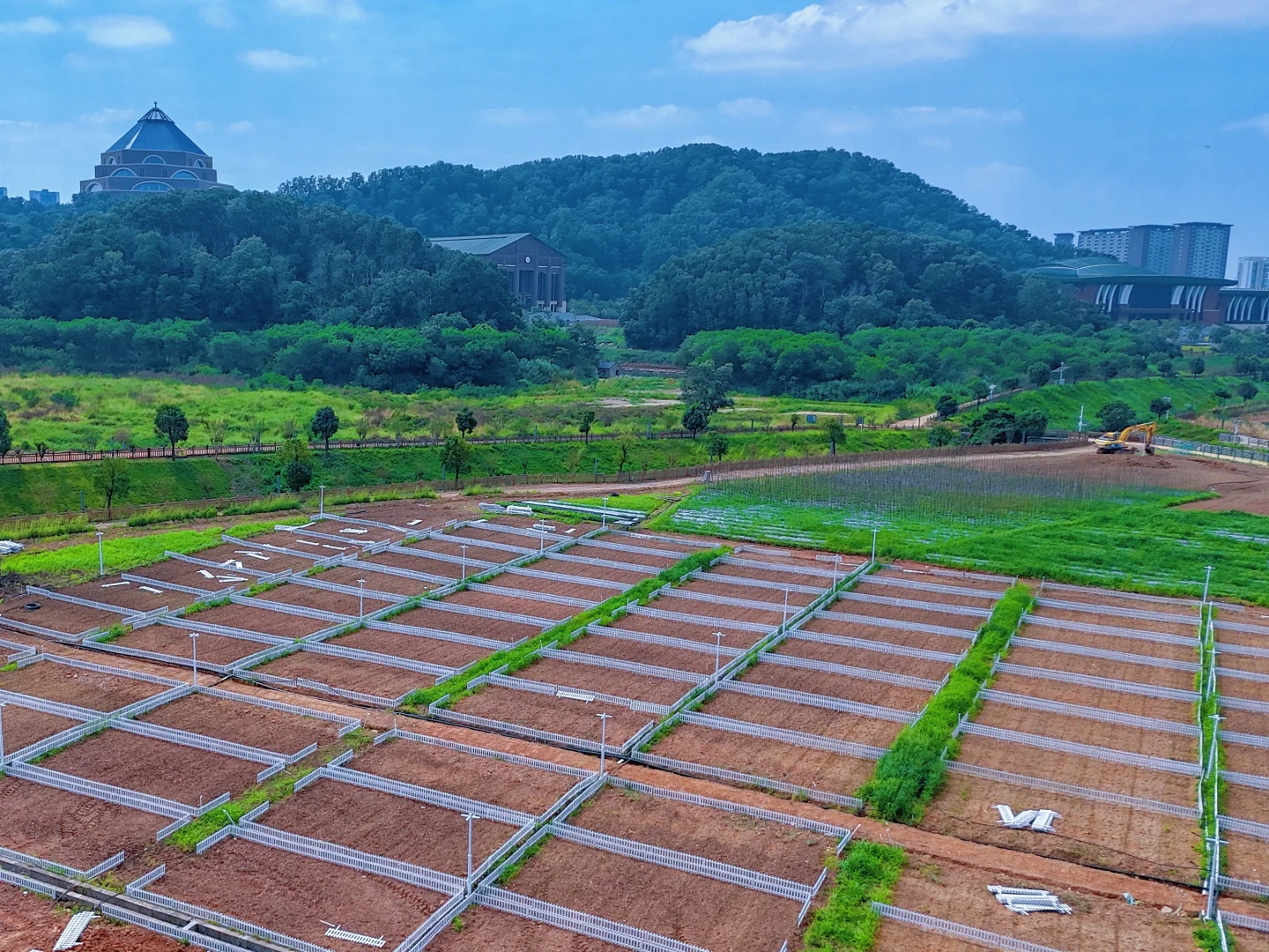 深圳光明中山大学旁农场开园，田园生活攻略