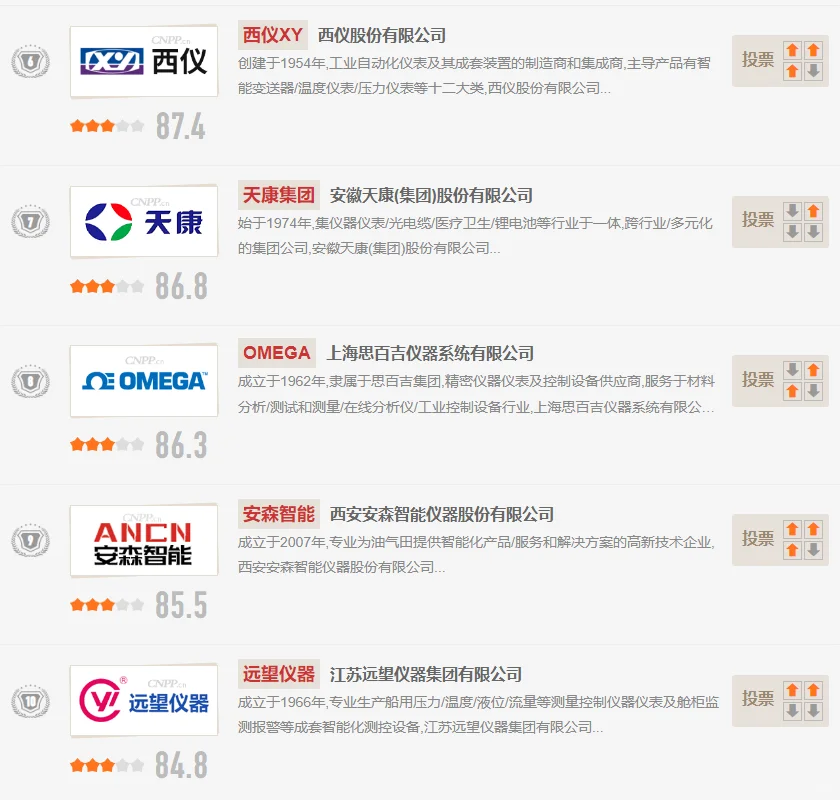 压力仪表十大品牌