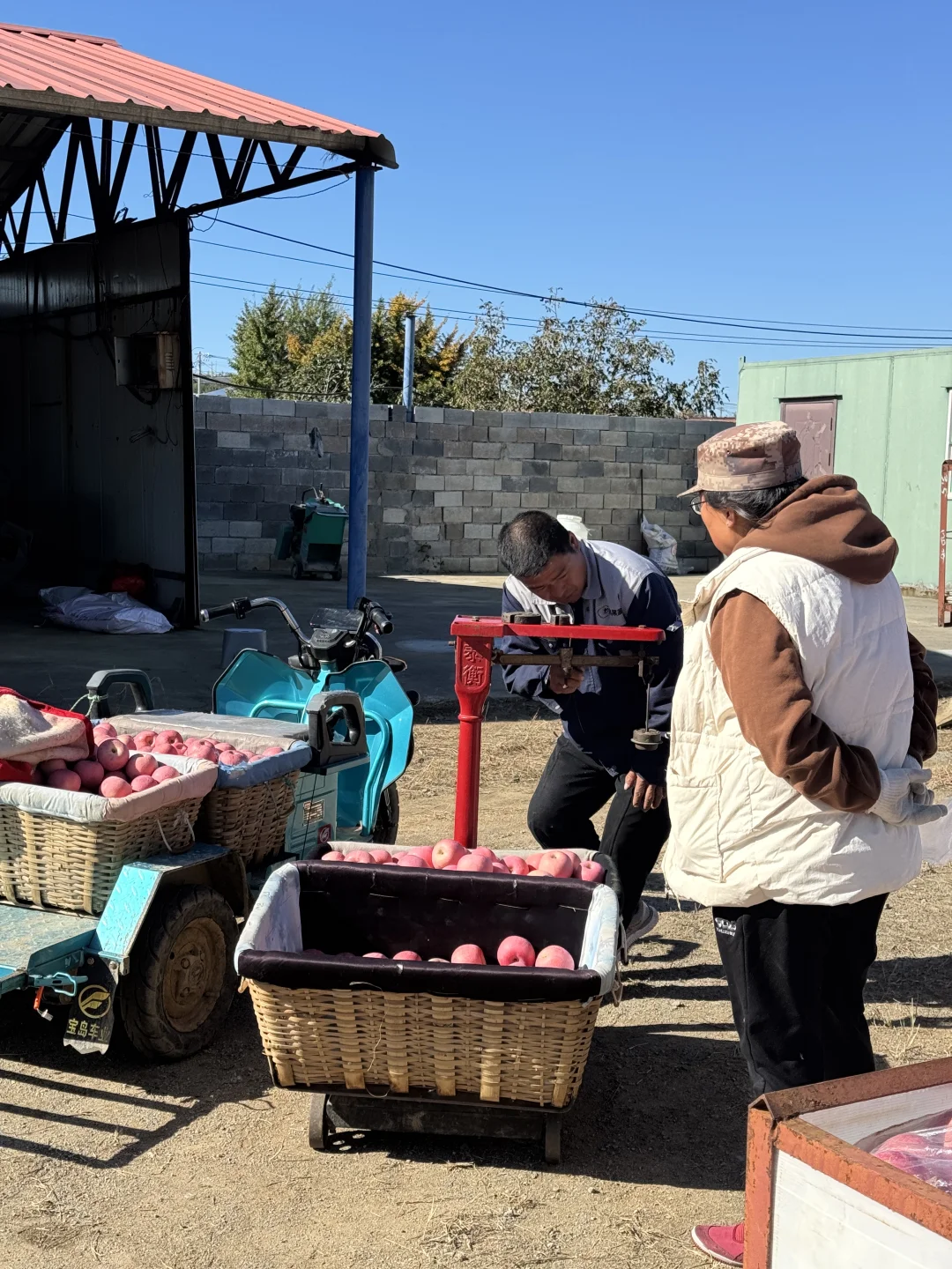 想吃烟台苹果?的，带给你们一点点震撼?