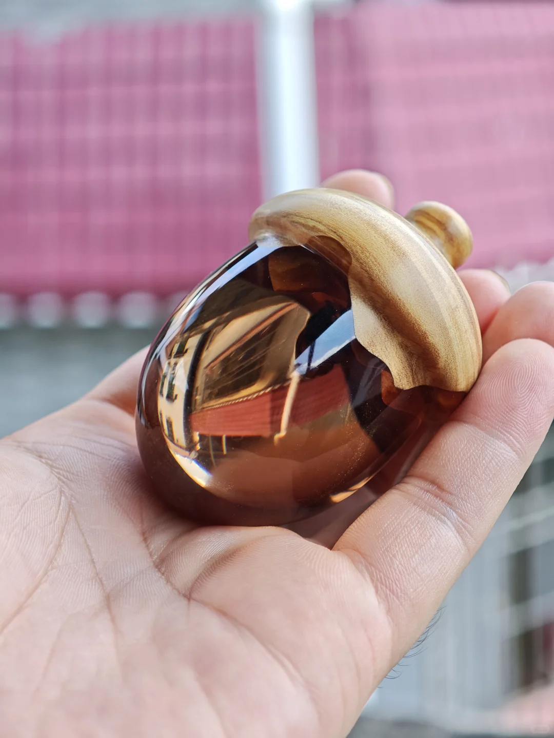 这样看上去脐带像果核