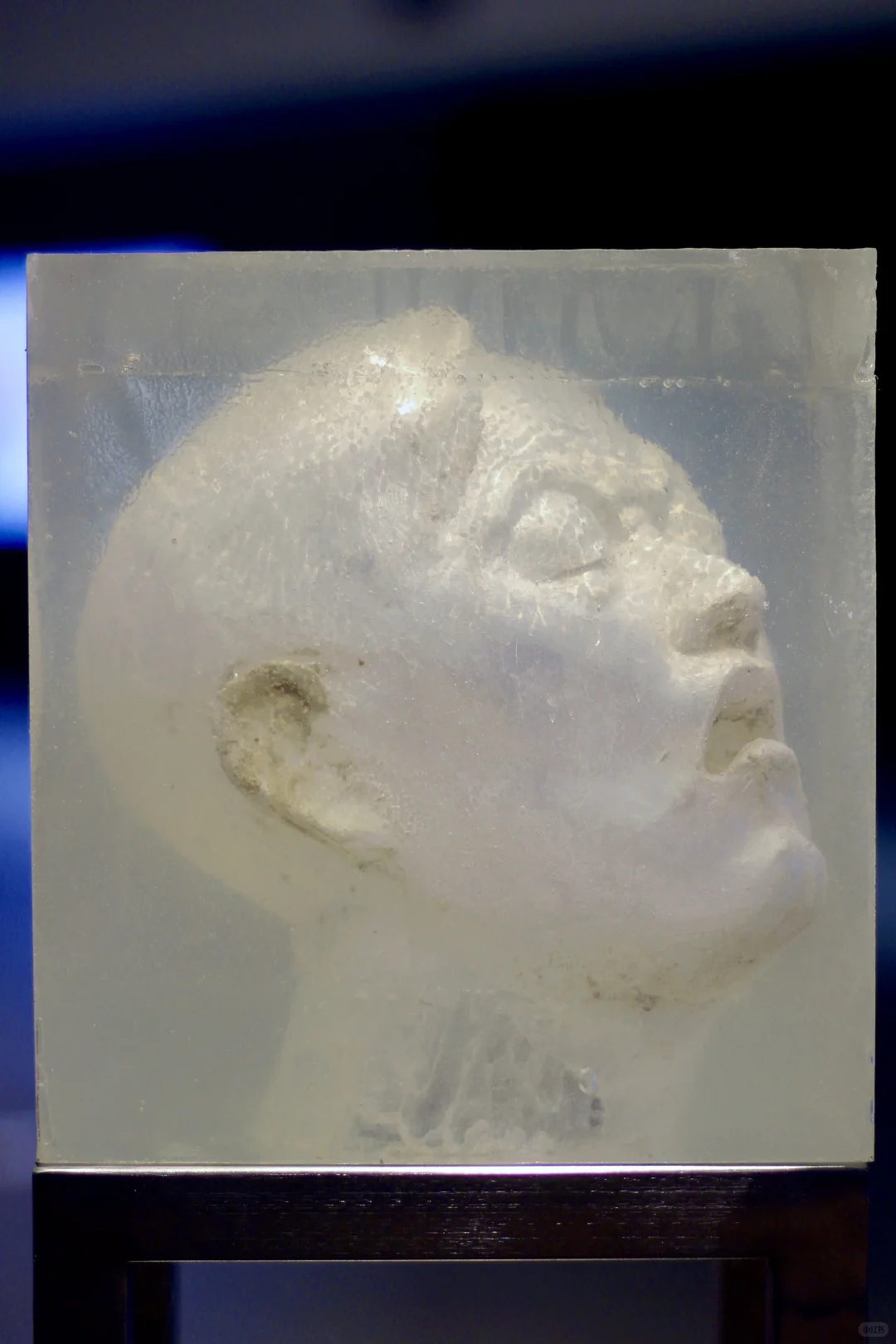 我环绕在光里，变成透明的模样