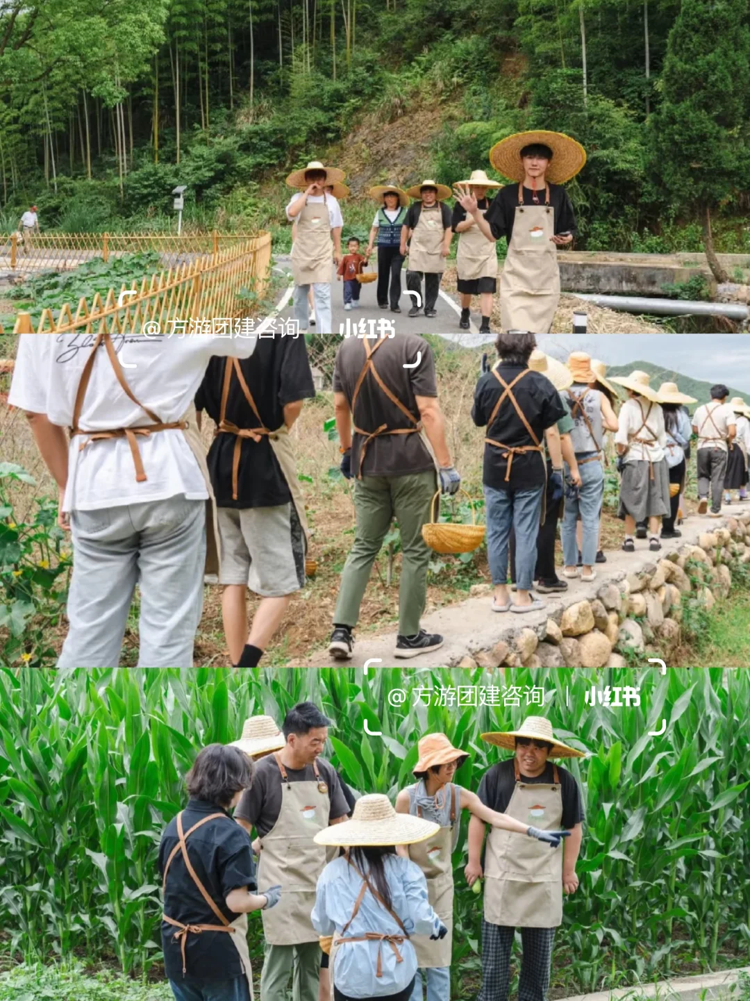 广东团建｜《向往的生活》1日解锁综艺感❗