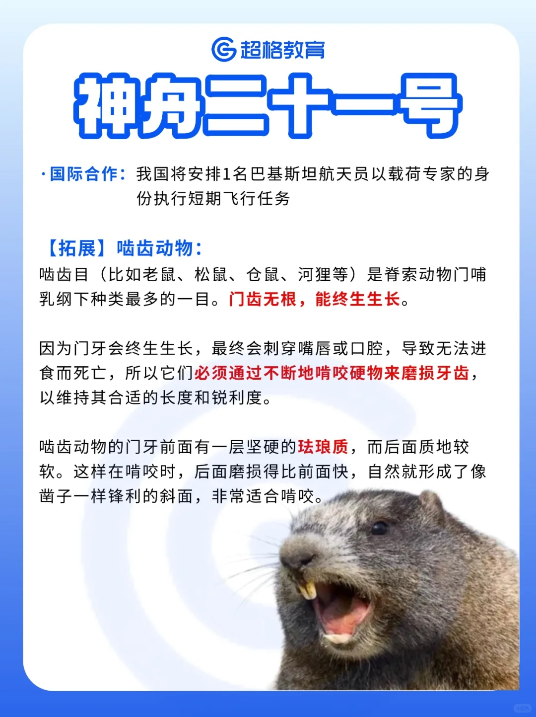 鼠鼠我啊，要上天喽！