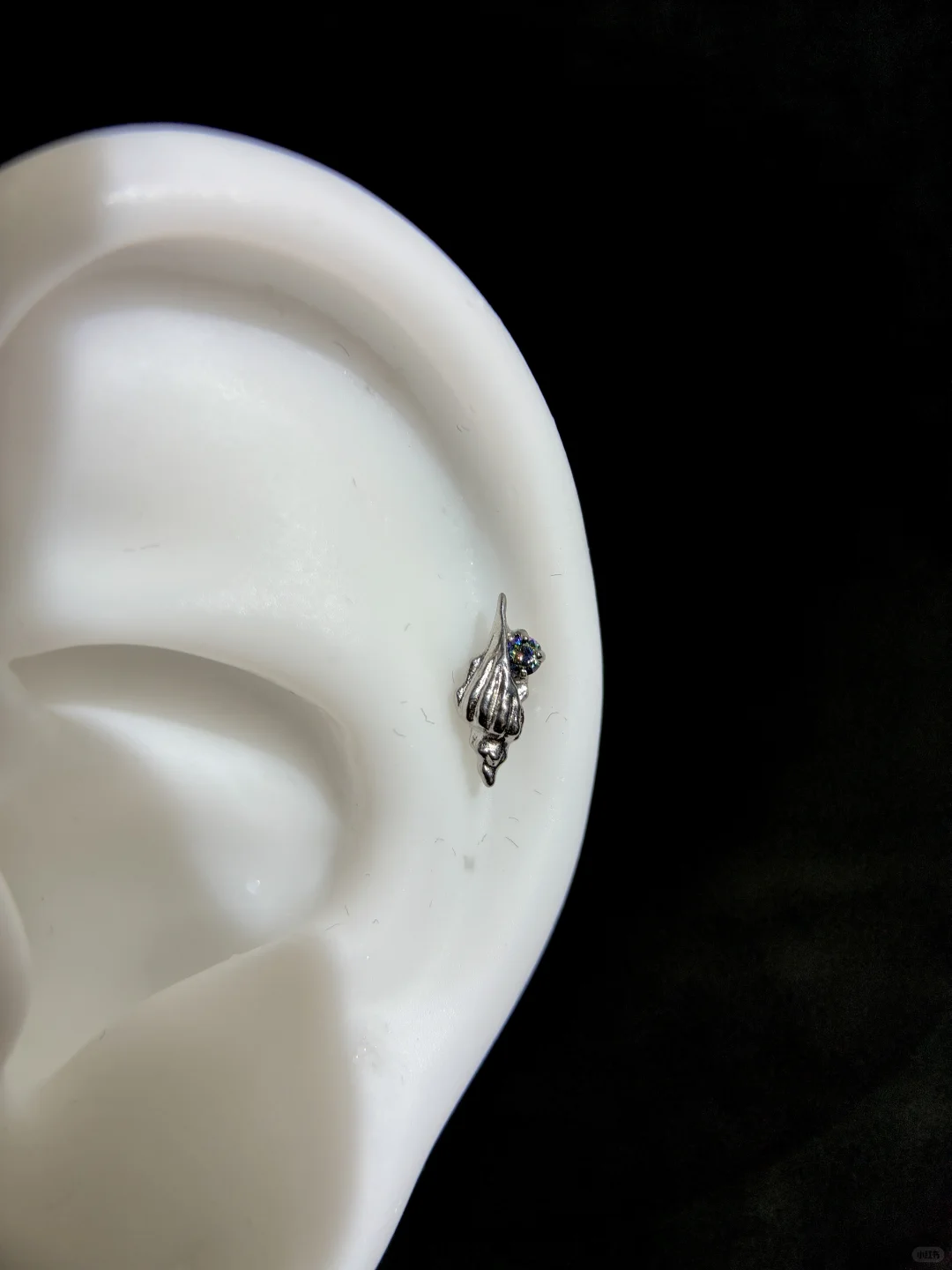 Live.海螺?耳钉版 养耳洞首选钛合金✌️