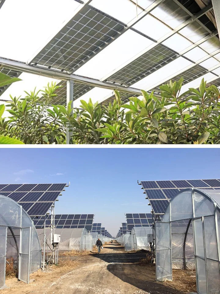 “光伏+农业大棚”结构、设备、作物选择