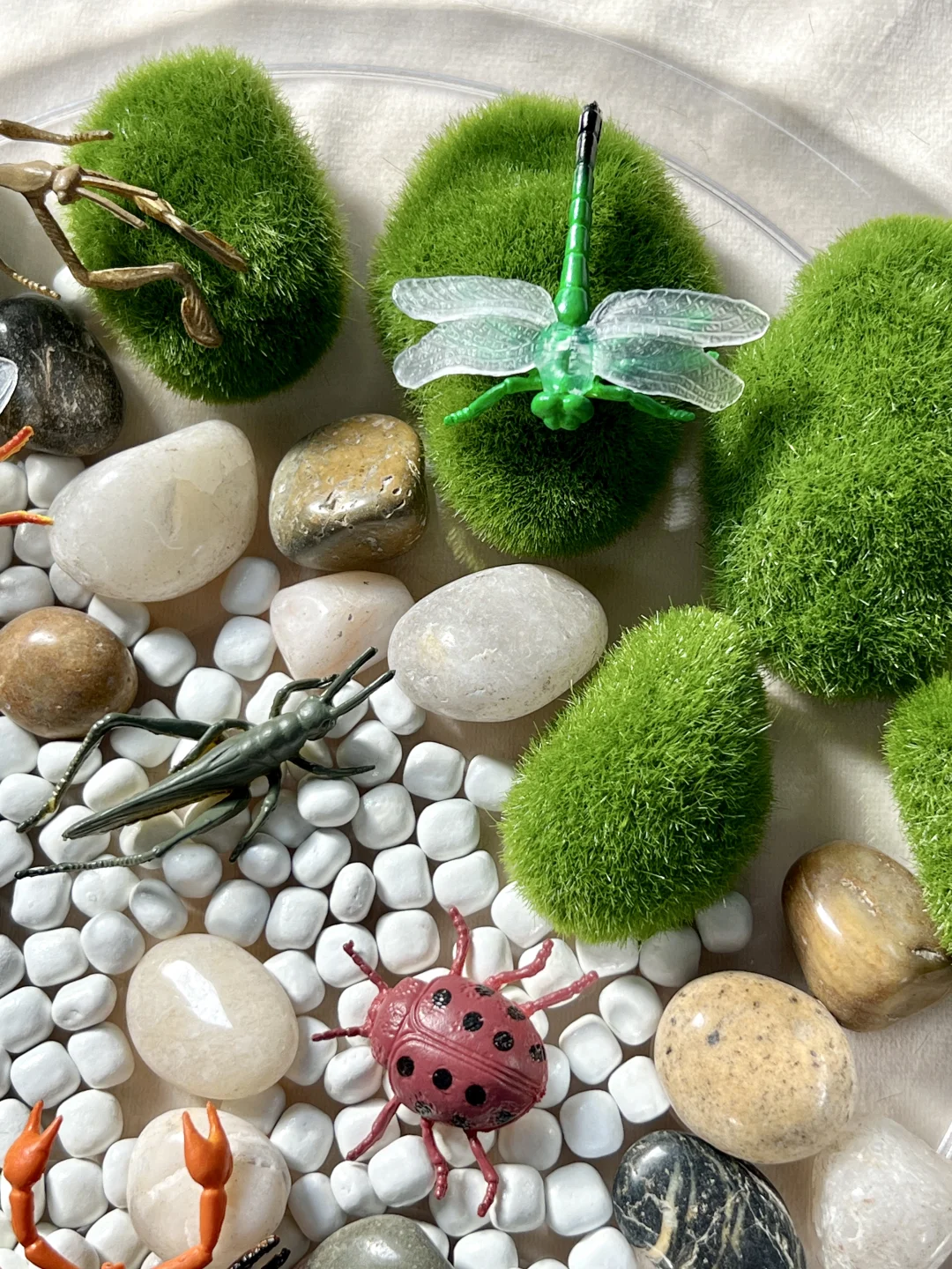 早教感官盆！陪宝宝快乐过家家~