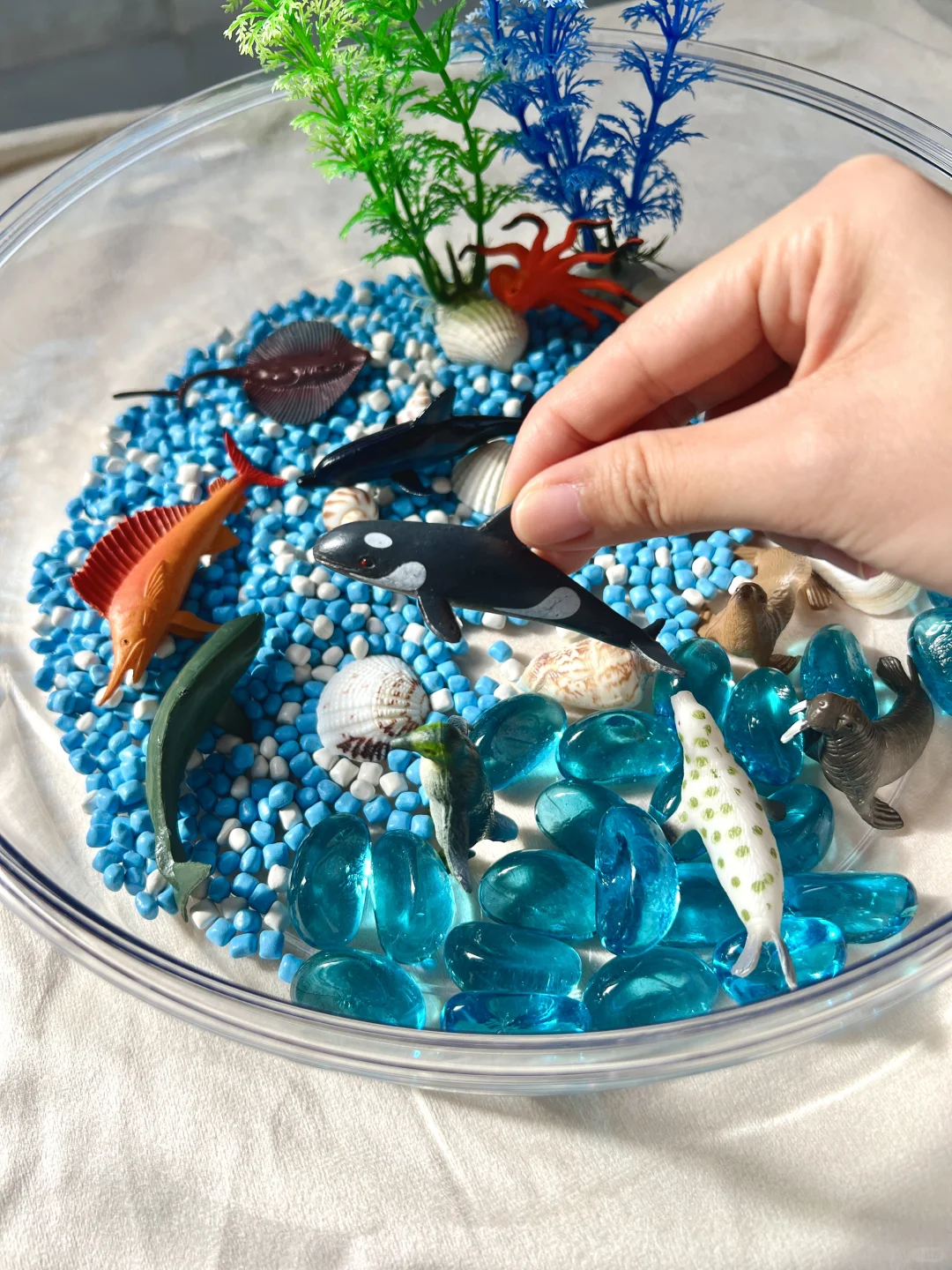 早教感官盆！陪宝宝快乐过家家~