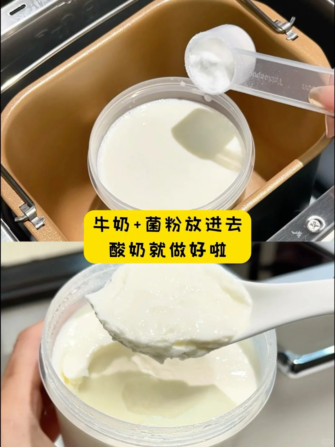 小白烘焙神器!每天吃现烤面包!现在清仓价