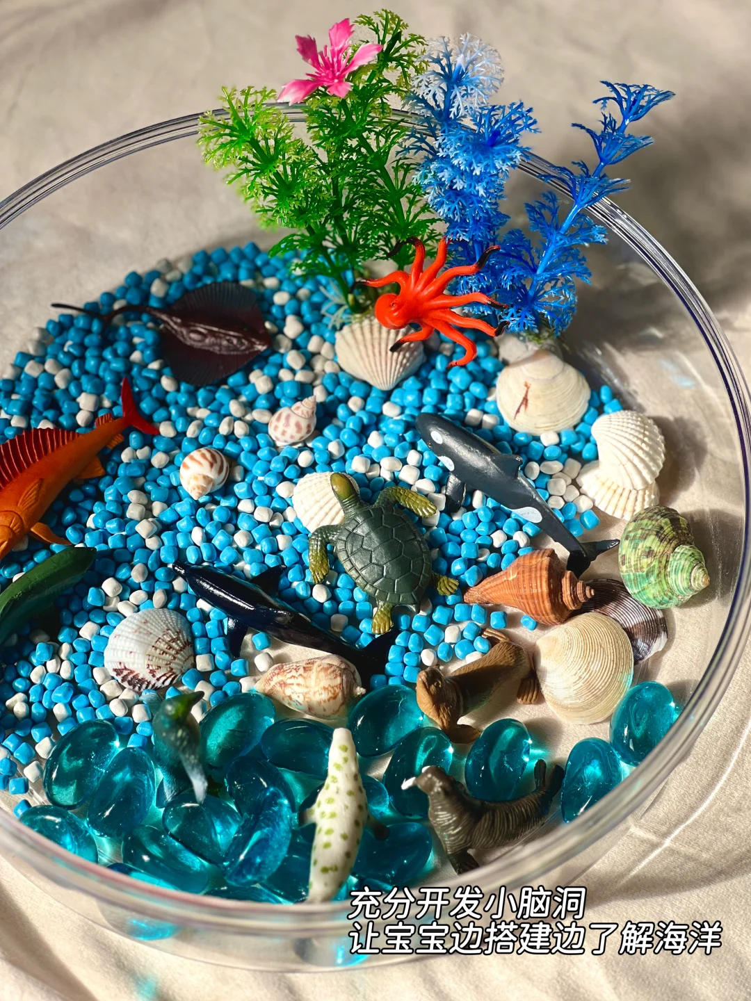 早教感官盆！陪宝宝快乐过家家~