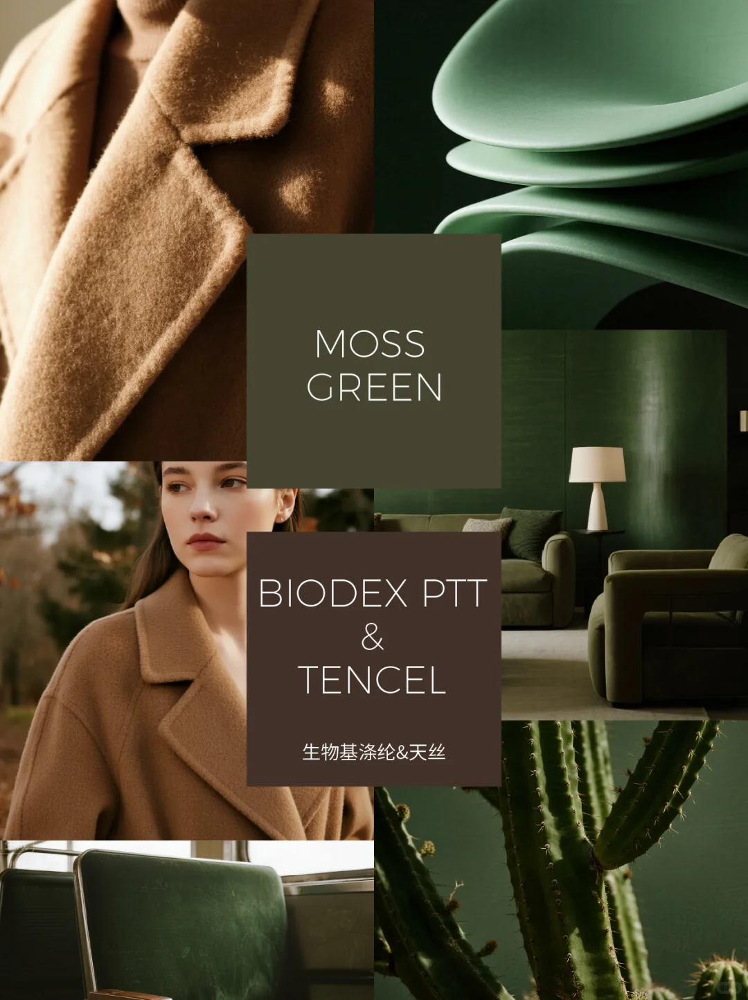 生物基面料与色彩趋势:自然共生,温暖疗愈