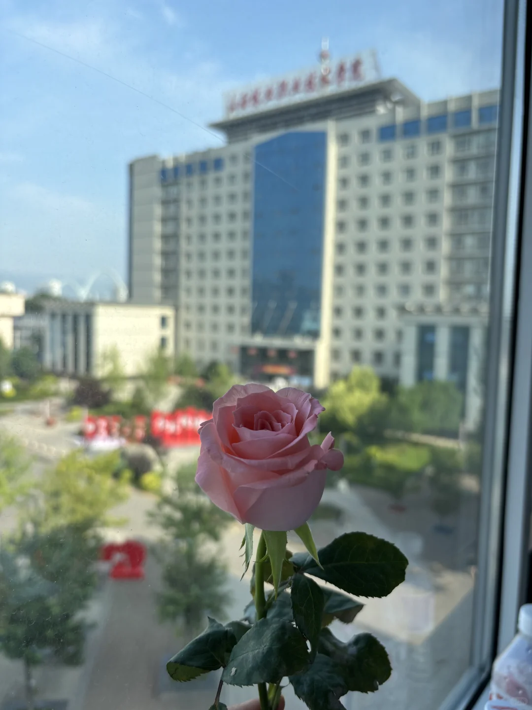 2025新的一年新的气息