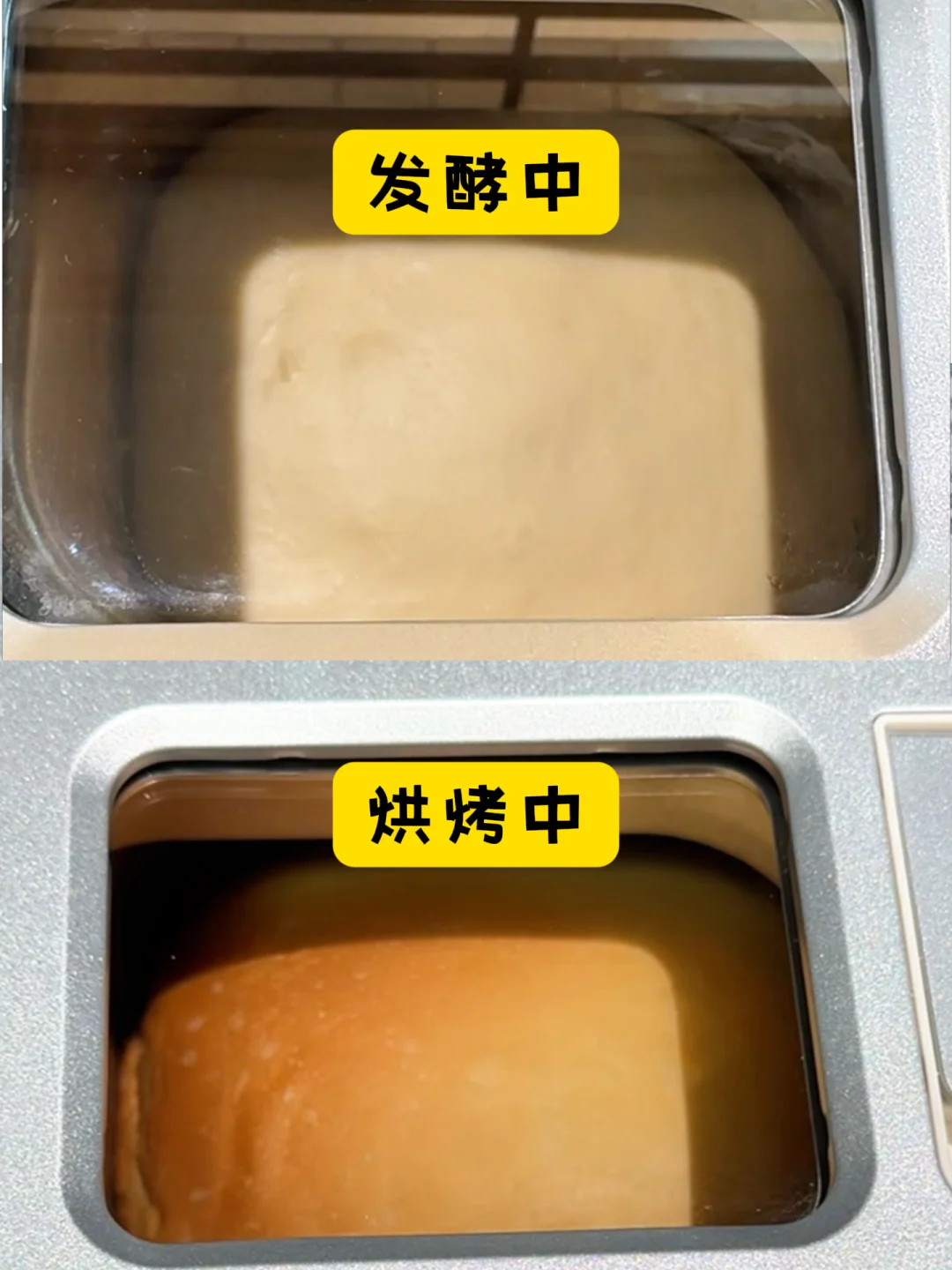 小白烘焙神器!每天吃现烤面包!现在清仓价