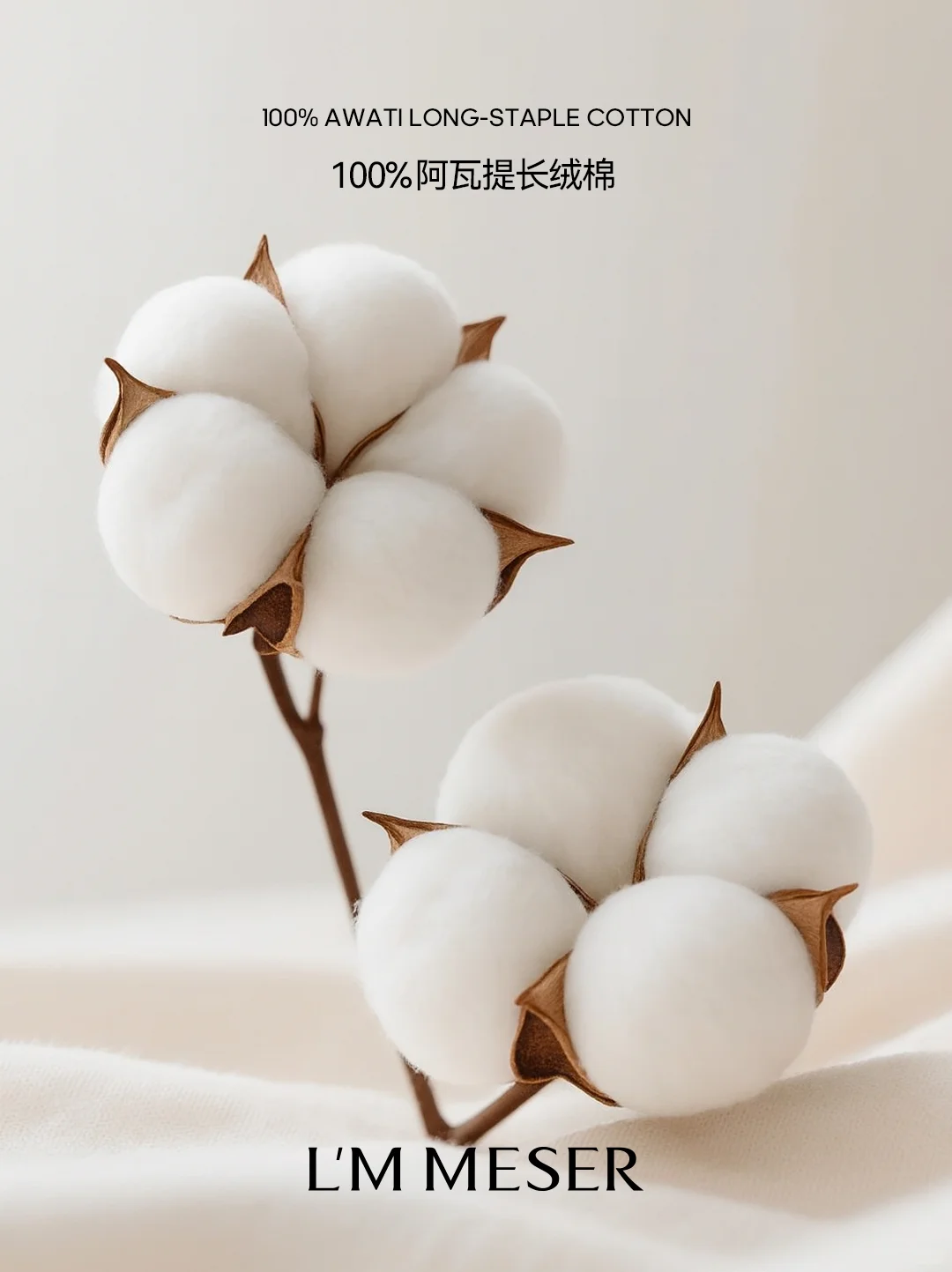 L’M MESER｜从「豆」启程，探索睡眠之美