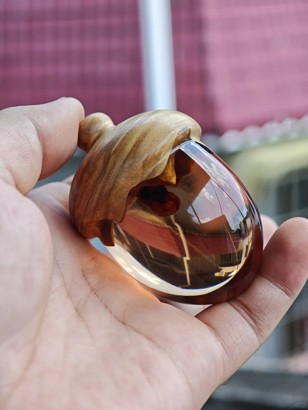 这样看上去脐带像果核