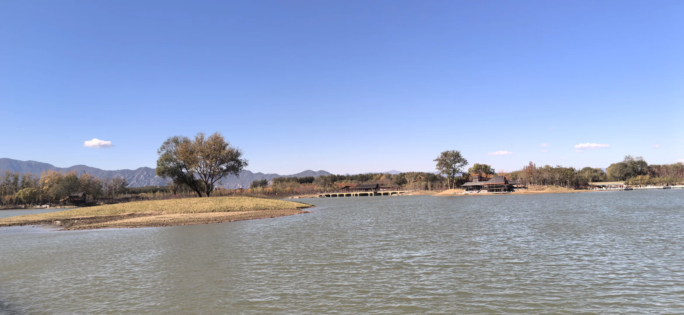 海淀集体生态林，银杏叶进入最佳观赏期