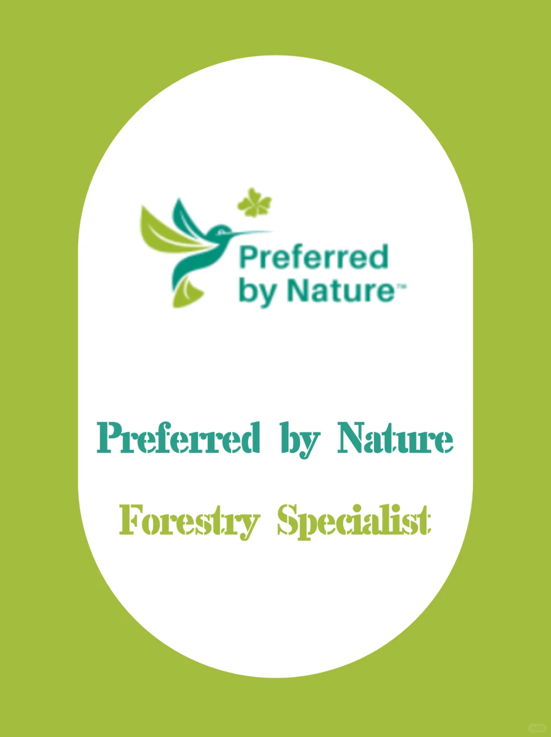 工作招聘 | Forestry Specialist