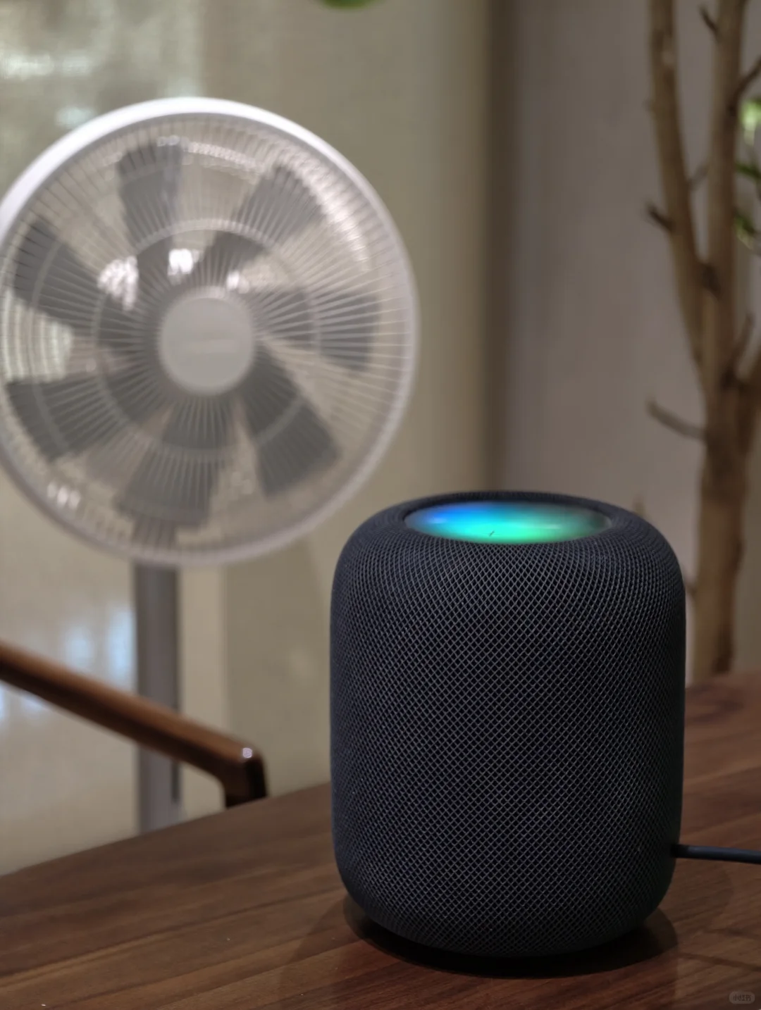 ?26年做苹果全屋智能!Matter是最佳选择