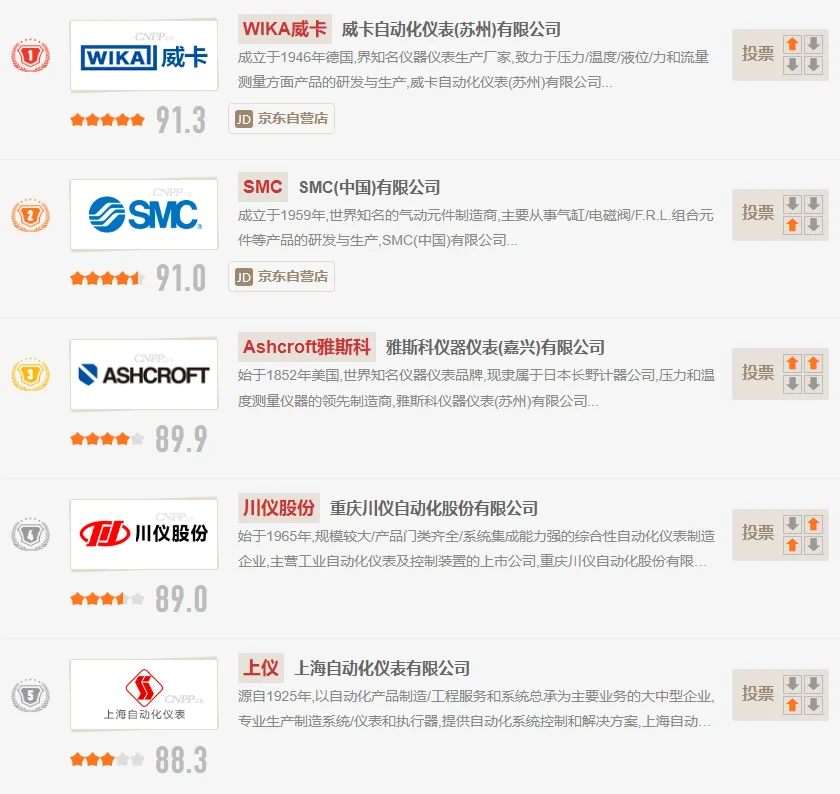 压力仪表十大品牌