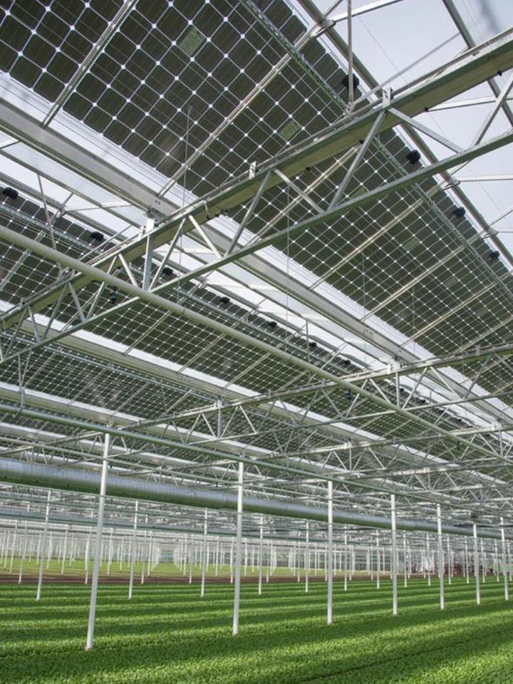 “光伏+农业大棚”结构、设备、作物选择
