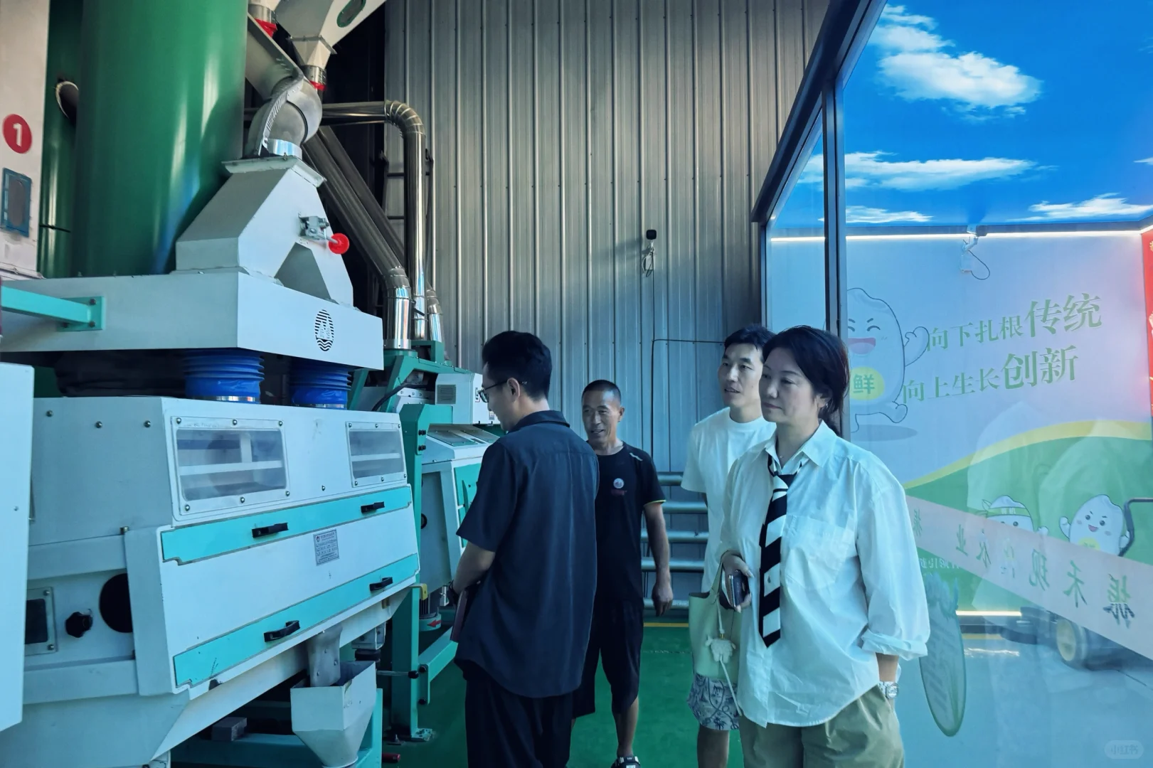 金小稻｜五常大米工厂实拍