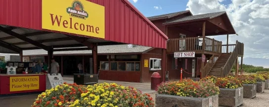 Tucson 图森 走咱们去摘南瓜了!