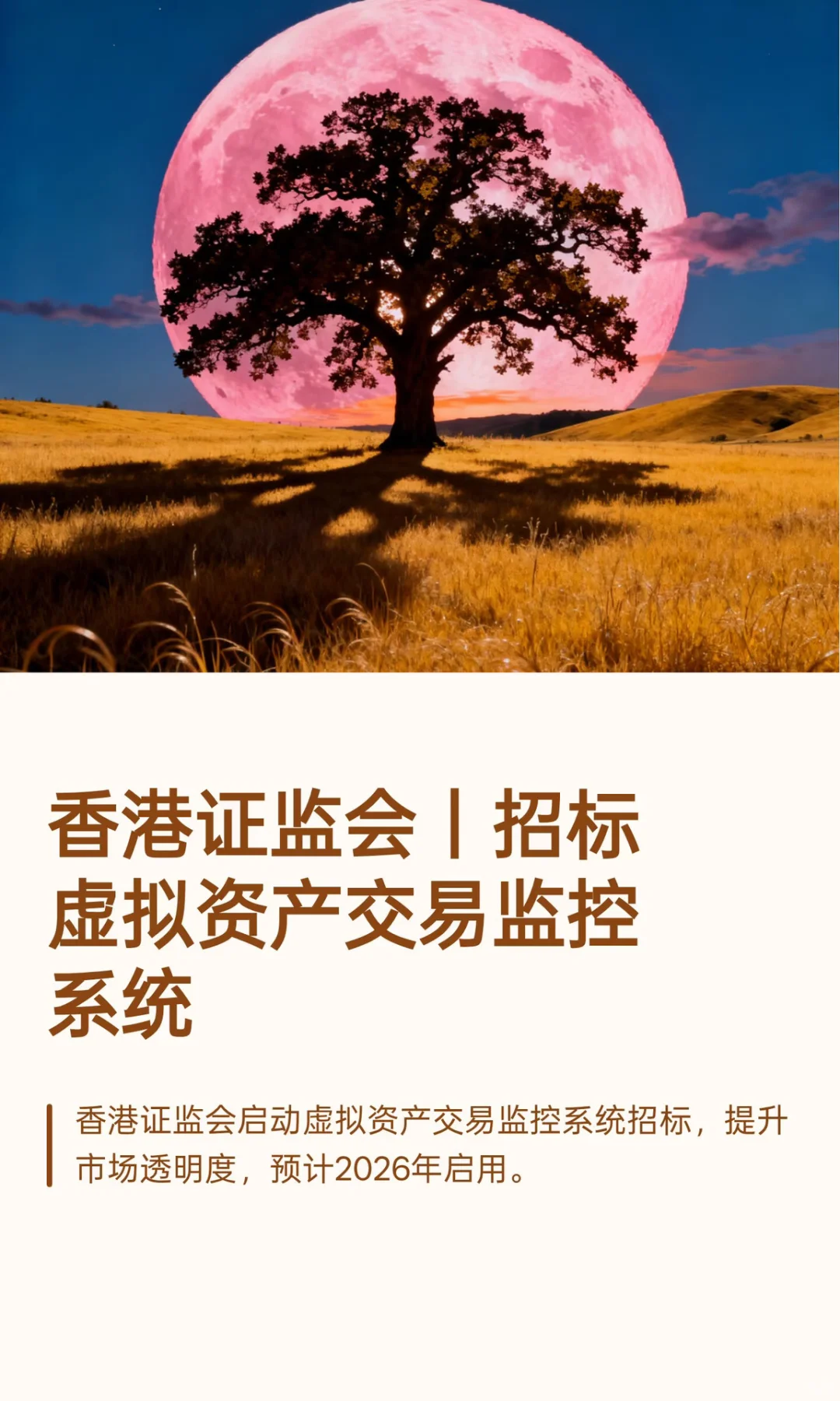 香港证监会丨招标虚拟资产交易监控系统