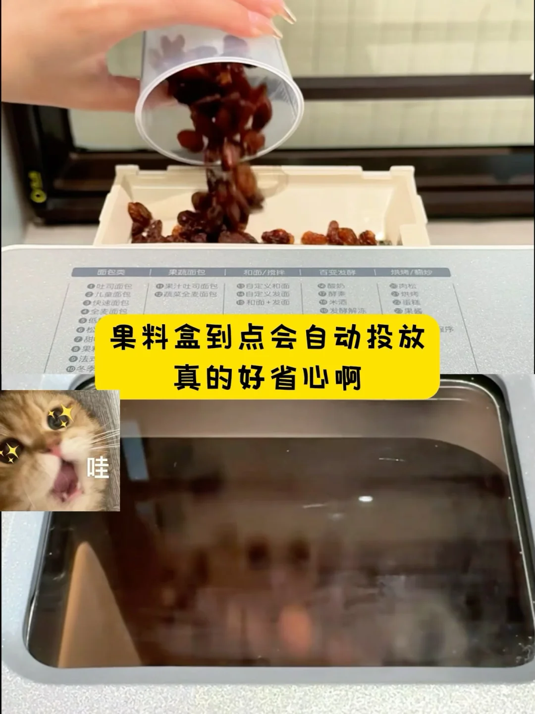 小白烘焙神器!每天吃现烤面包!现在清仓价