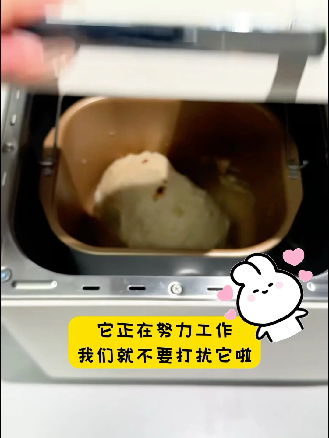 小白烘焙神器!每天吃现烤面包!现在清仓价