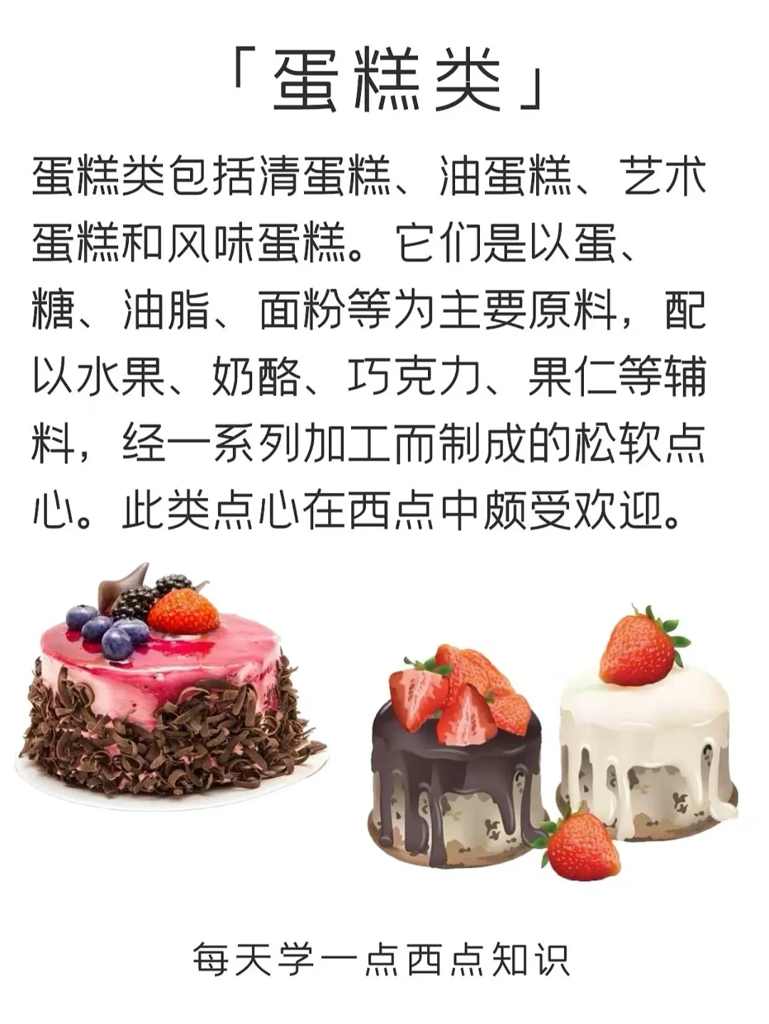 终于有人讲清楚西点种类了…