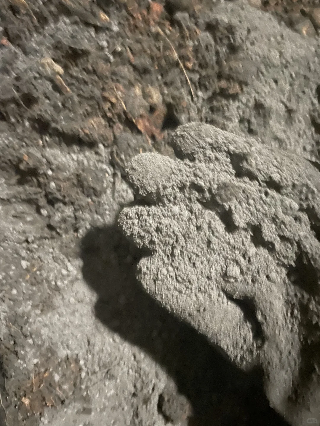 好像是水泥灰，一股异味好像就是水泥的味道