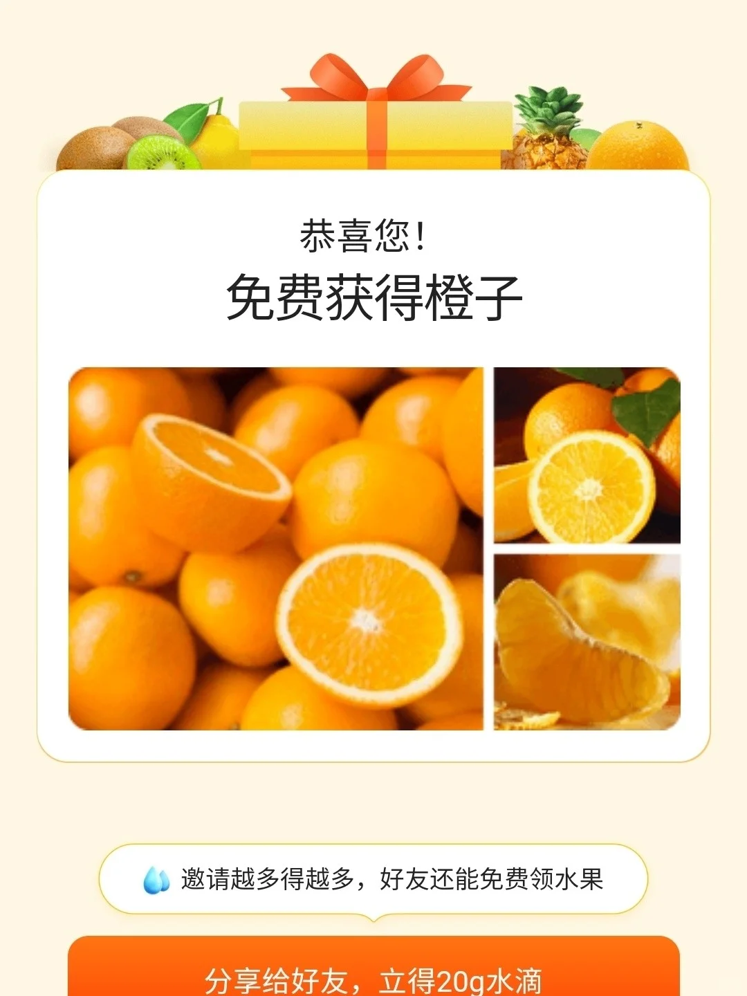 种树真的好快乐