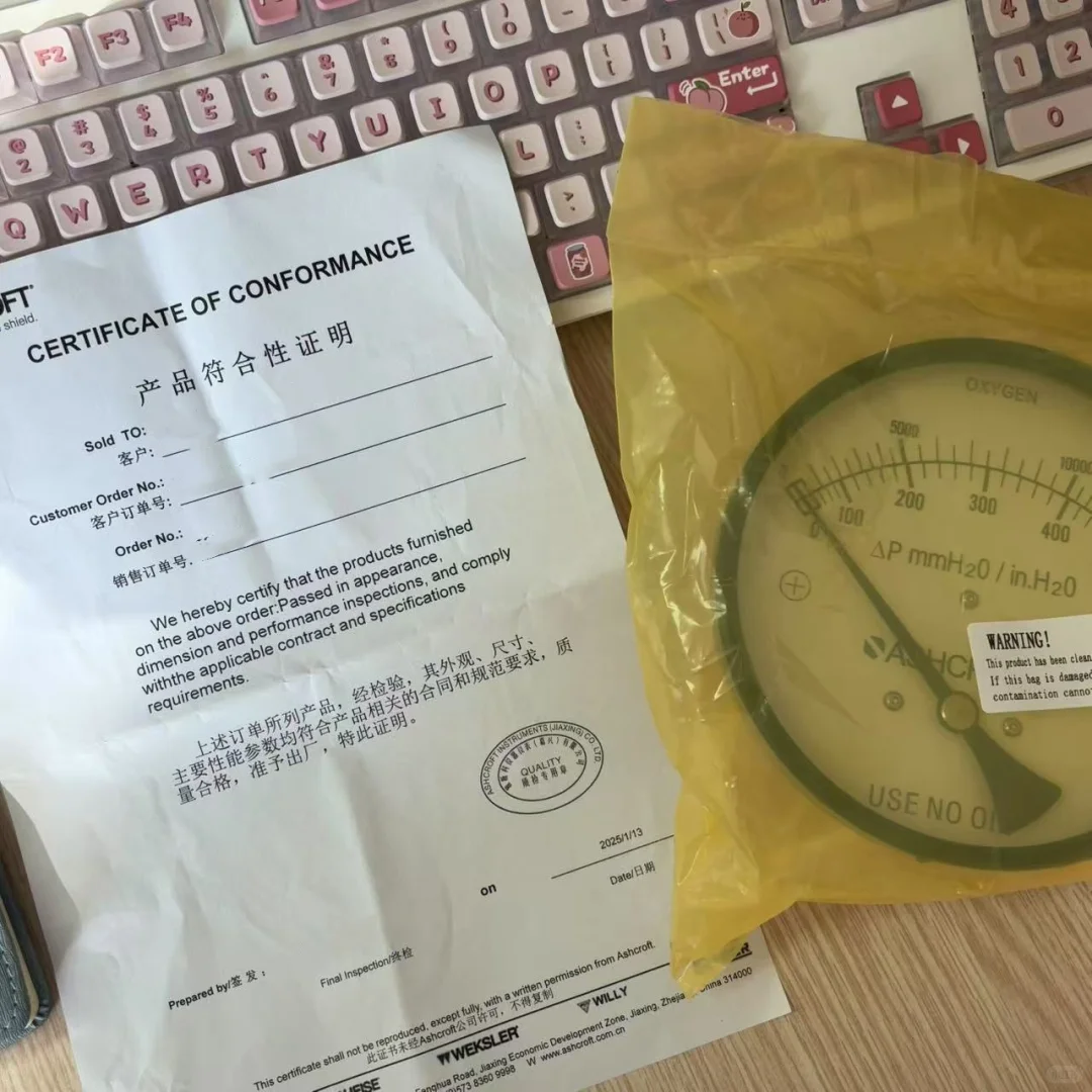 Ashcroft雅斯科 1132差压表