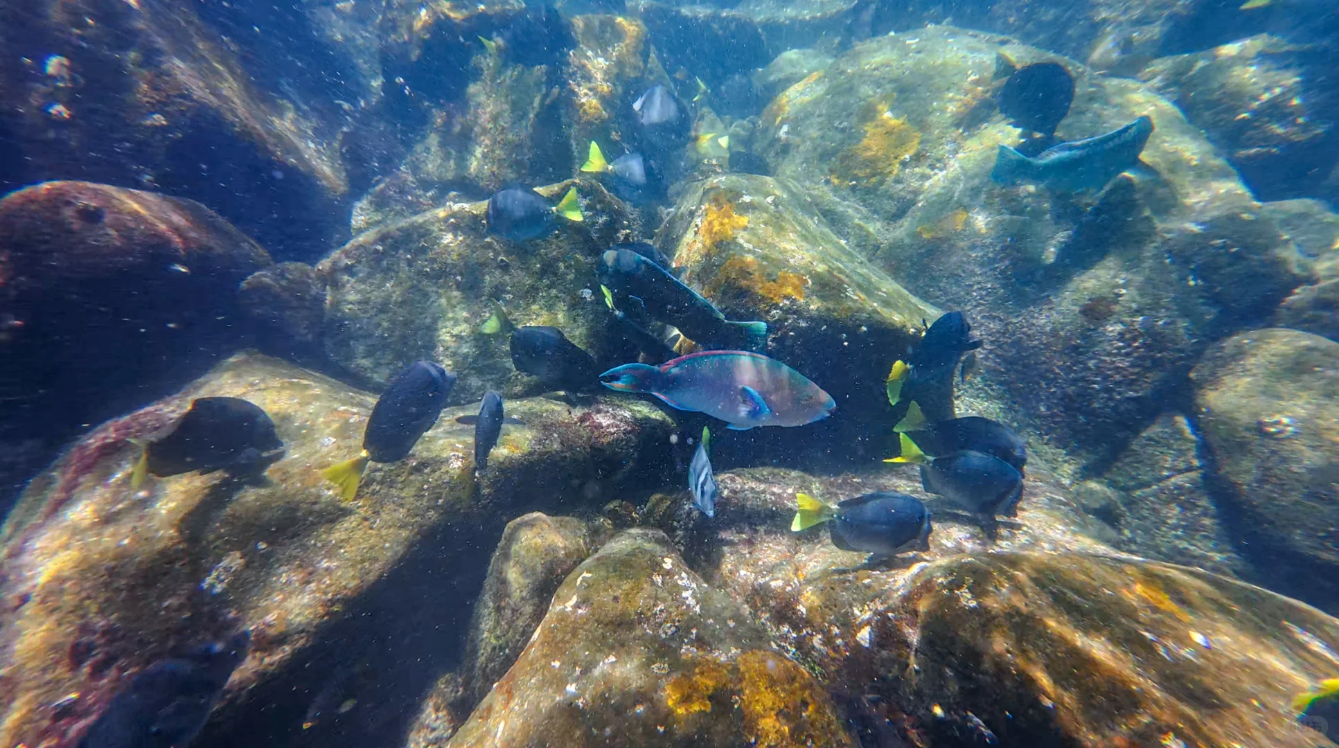 海妈手记 | 7.27 旅途中的日升日落