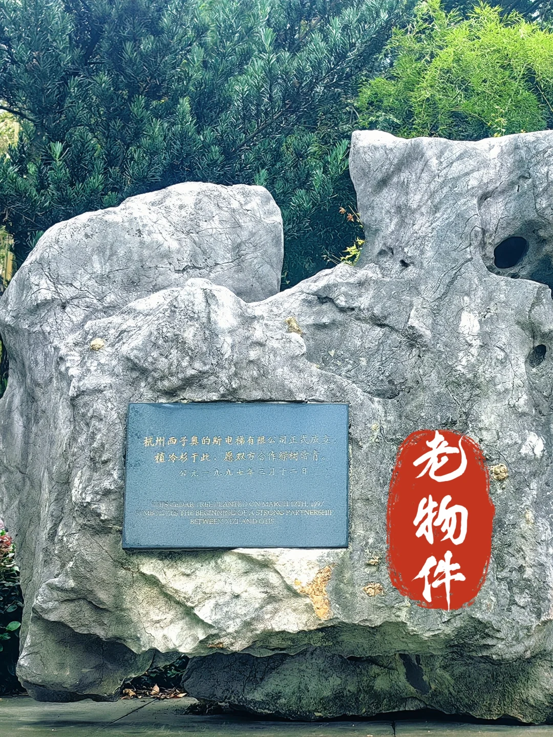 别墅梯专属生产线！这工厂也太卷了?