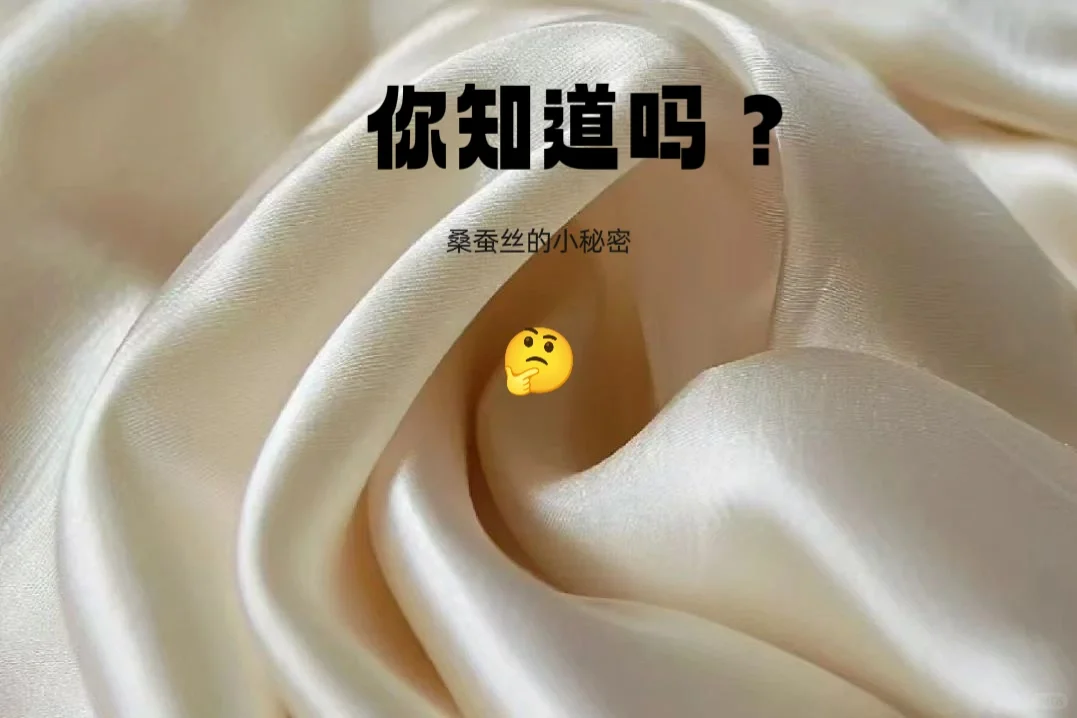 桑蚕丝小秘密~