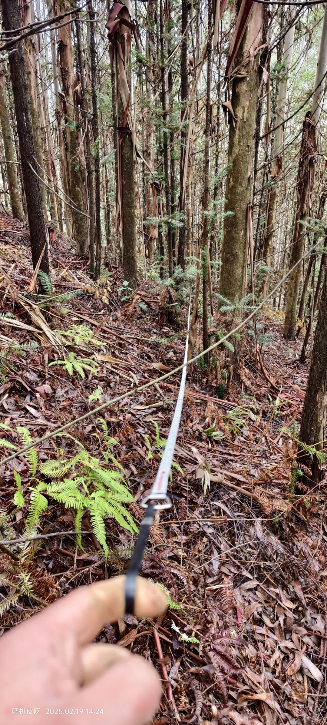 谁说女生不用去林地-篇章5?