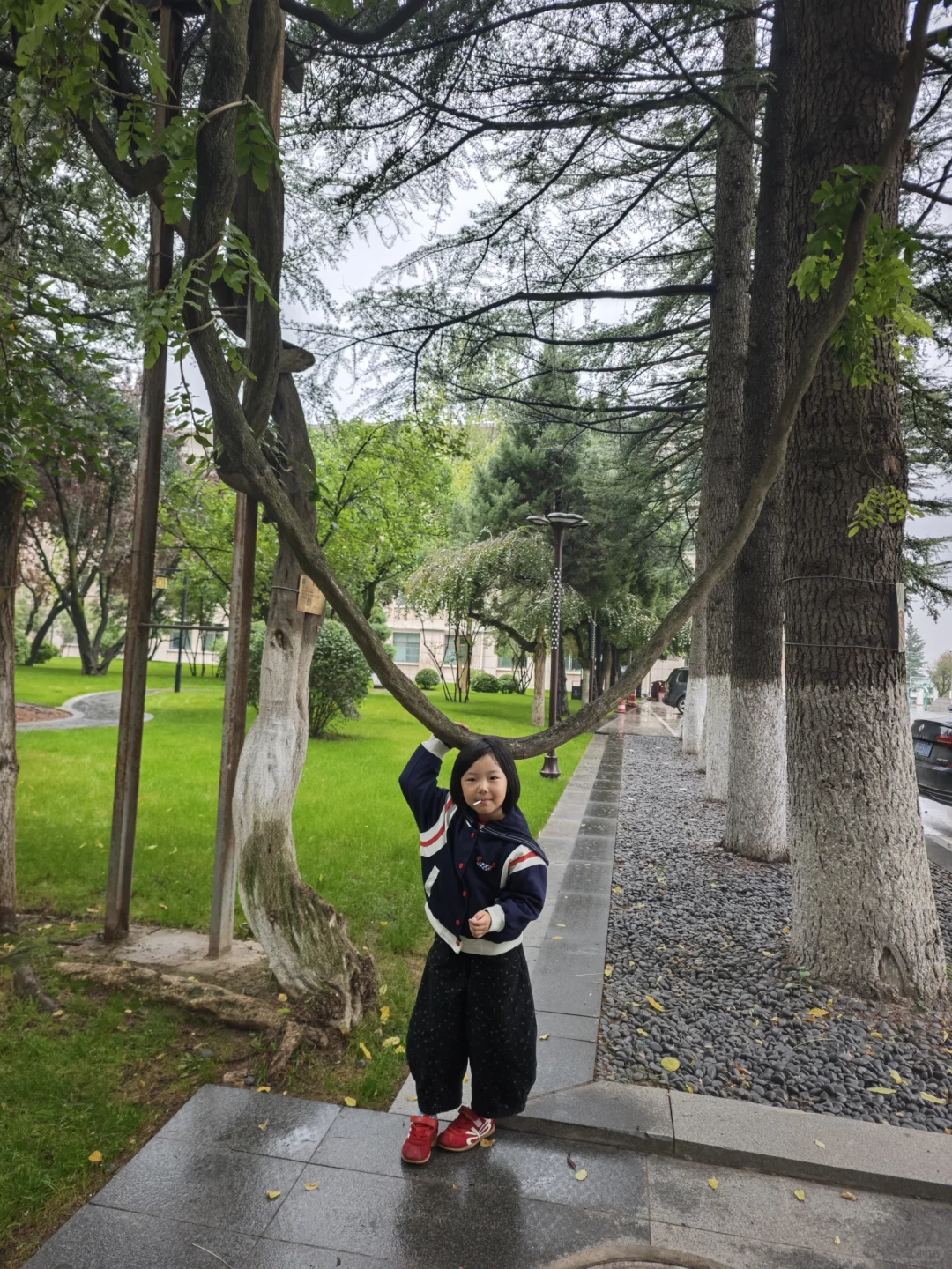 一不小心爱上了这所校园～