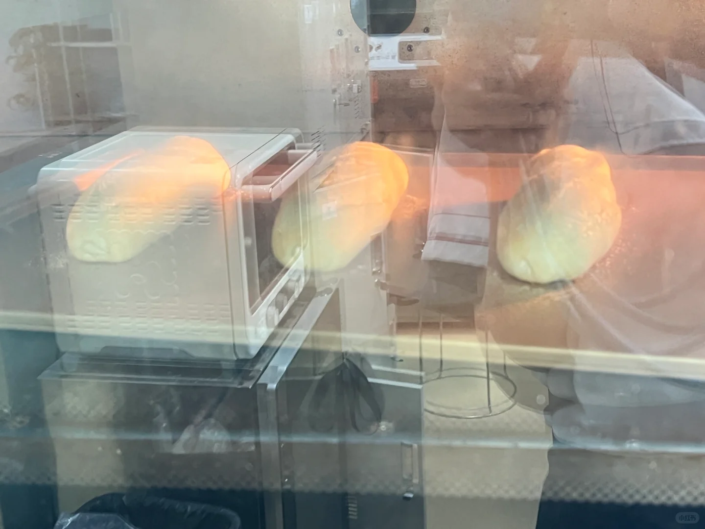 消失的我回国终于学会了做面包?