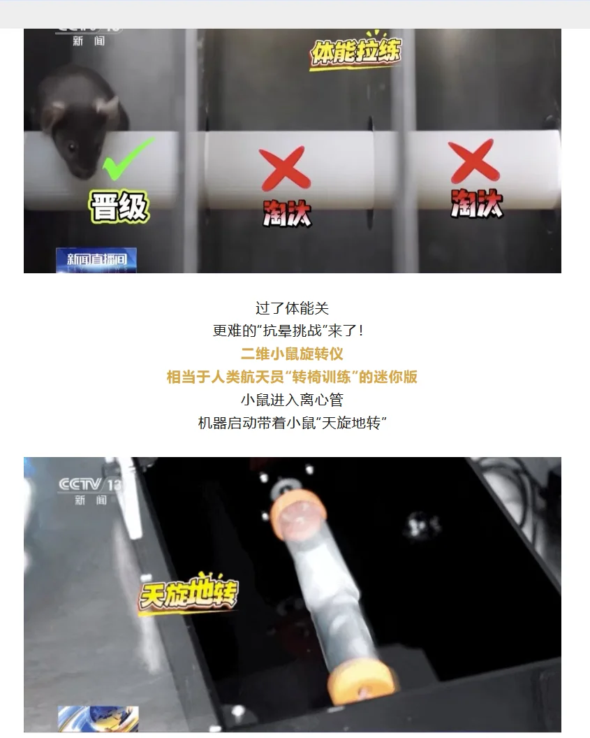 带“C57小鼠”上太空!神舟二十一号!