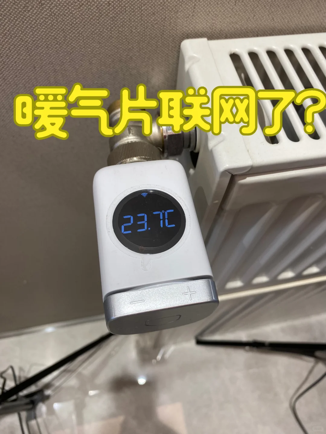 反正我家全屋暖气片手机开关,你们随意