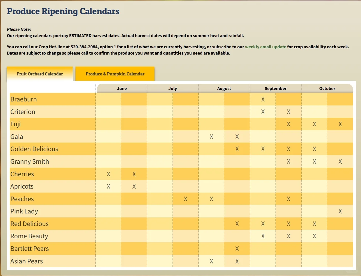 Tucson 图森 走咱们去摘南瓜了!